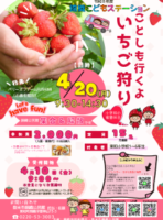 こどもステーションいちご狩りR8 (3)のサムネイル