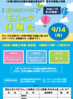 東和元気ひろばチラシ②のサムネイル